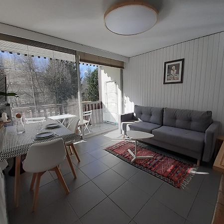 Studio Quartier Calme Centre Ville Vue Mont Blanc شامونكس المظهر الخارجي الصورة